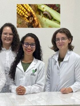Pesquisadores da UNEMAT utilizam árvore amazônica para desenvolver inseticida de baixo impacto ambiental