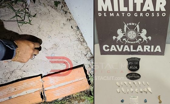 capa.jpg