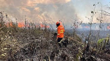 Mato Grosso alcança menor índice de incêndios após redução de 78%