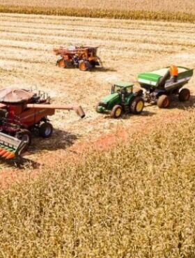 Agosto chega com calor intenso em MT; veja como isso afeta o campo