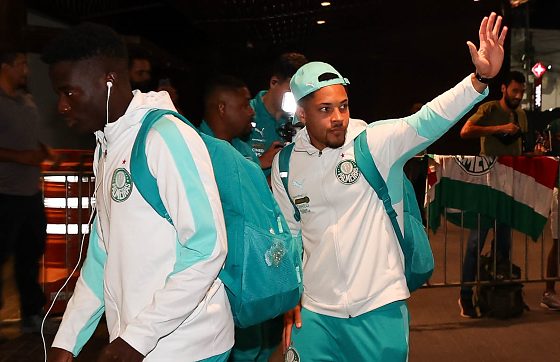 PALMEIRAS.jpg