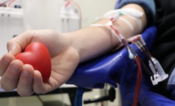 Novas regras ampliam possibilidade de doação de sangue e reduzem prazo de espera após procedimentos