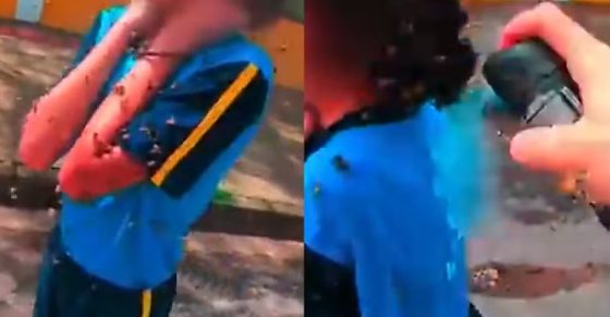 Aluna de 12 anos é atacada por enxame de abelhas na porta de escola;veja o vídeo