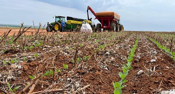 Plantio da soja 2026/27 avança em Mato Grosso, mas falta de chuva limita ritmo
