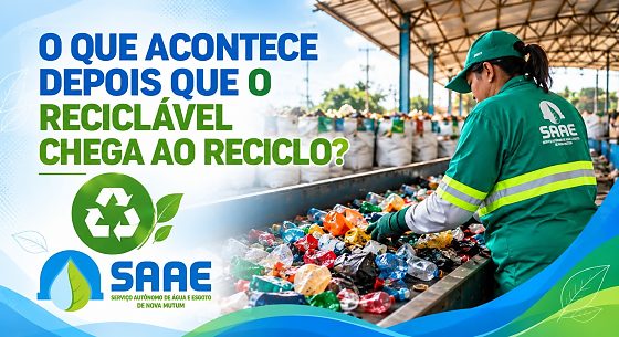 Imagem1.jpg